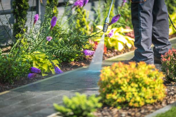 Glassmanor, MD Pressure Washing Company